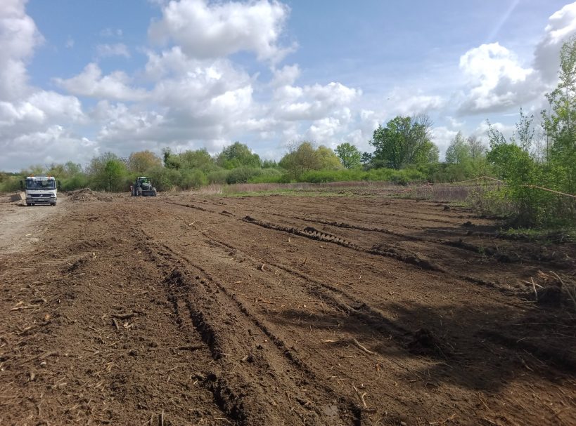 Rodungsarbeiten Freies, gerodetes Grundstück mit Erde und wenigen Bäumen unter bewölktem Himmel.